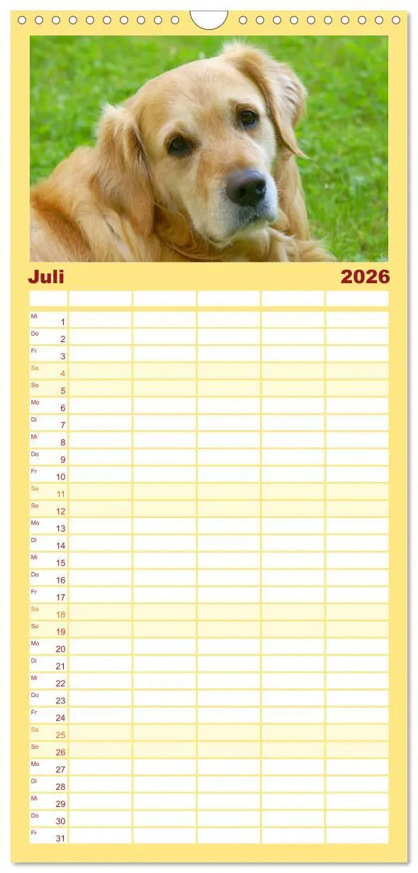 Bild: 9783516518467 | Familienplaner 2026 - Golden Retriever Power mit 5 Spalten...