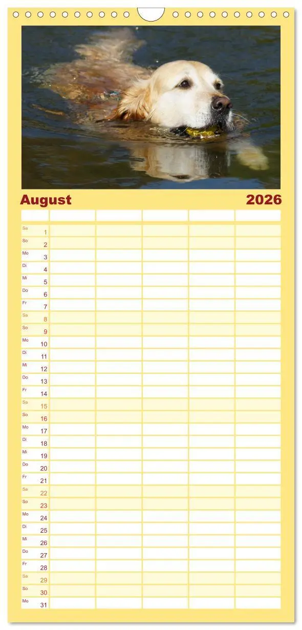 Bild: 9783516518467 | Familienplaner 2026 - Golden Retriever Power mit 5 Spalten...