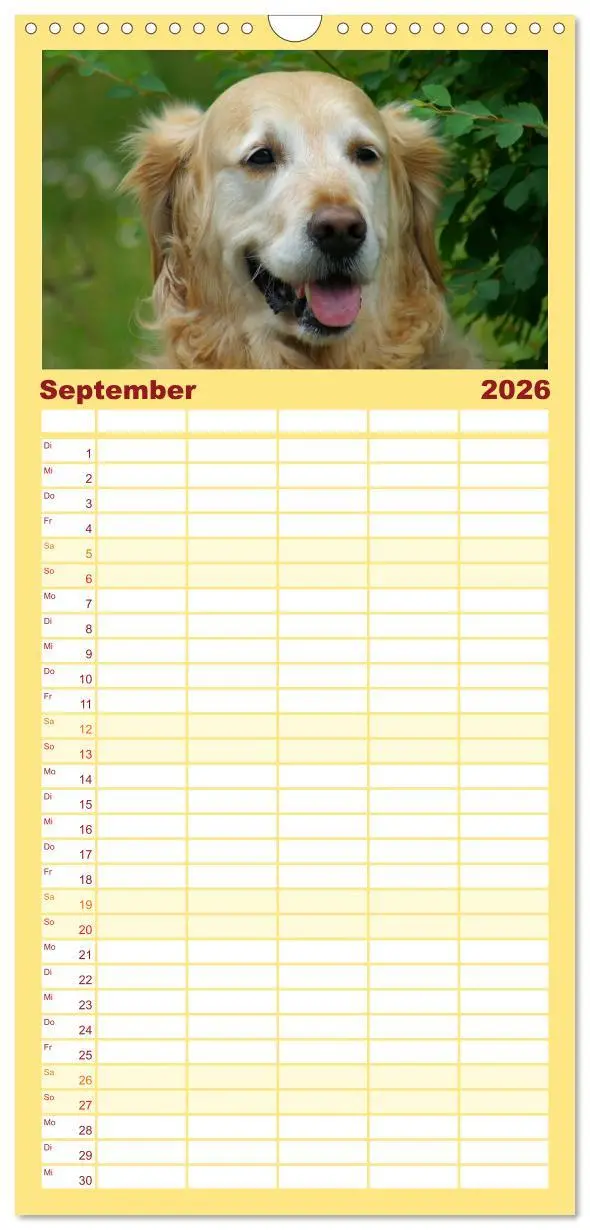 Bild: 9783516518467 | Familienplaner 2026 - Golden Retriever Power mit 5 Spalten...