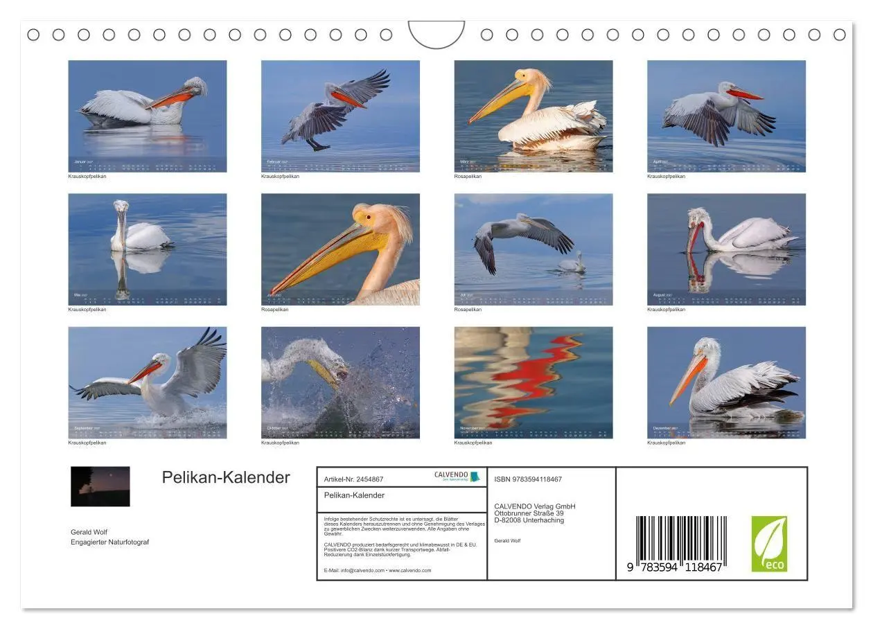 Bild: 9783594118467 | Pelikan-Kalender (Wandkalender 2027 DIN A4 quer), CALVENDO...