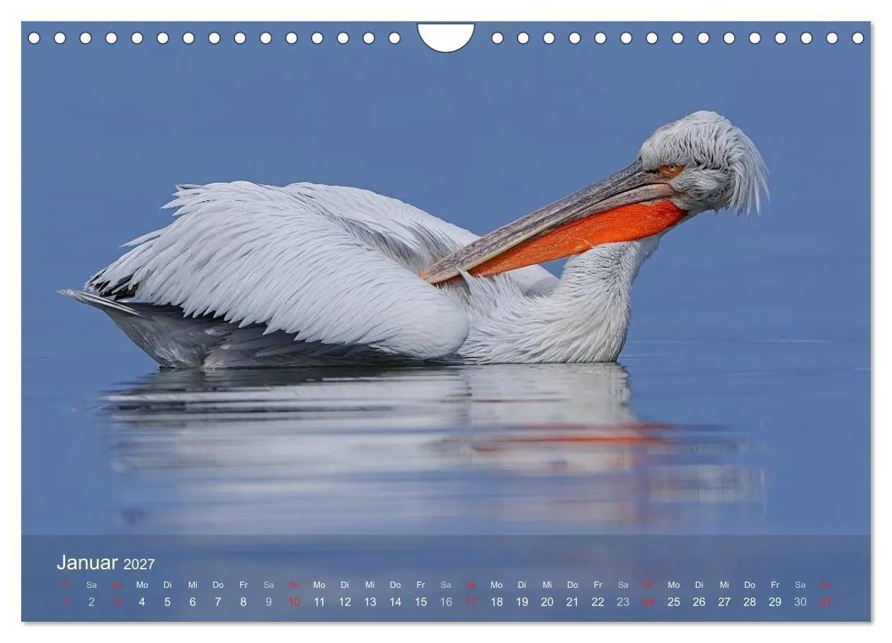 Bild: 9783594118467 | Pelikan-Kalender (Wandkalender 2027 DIN A4 quer), CALVENDO...