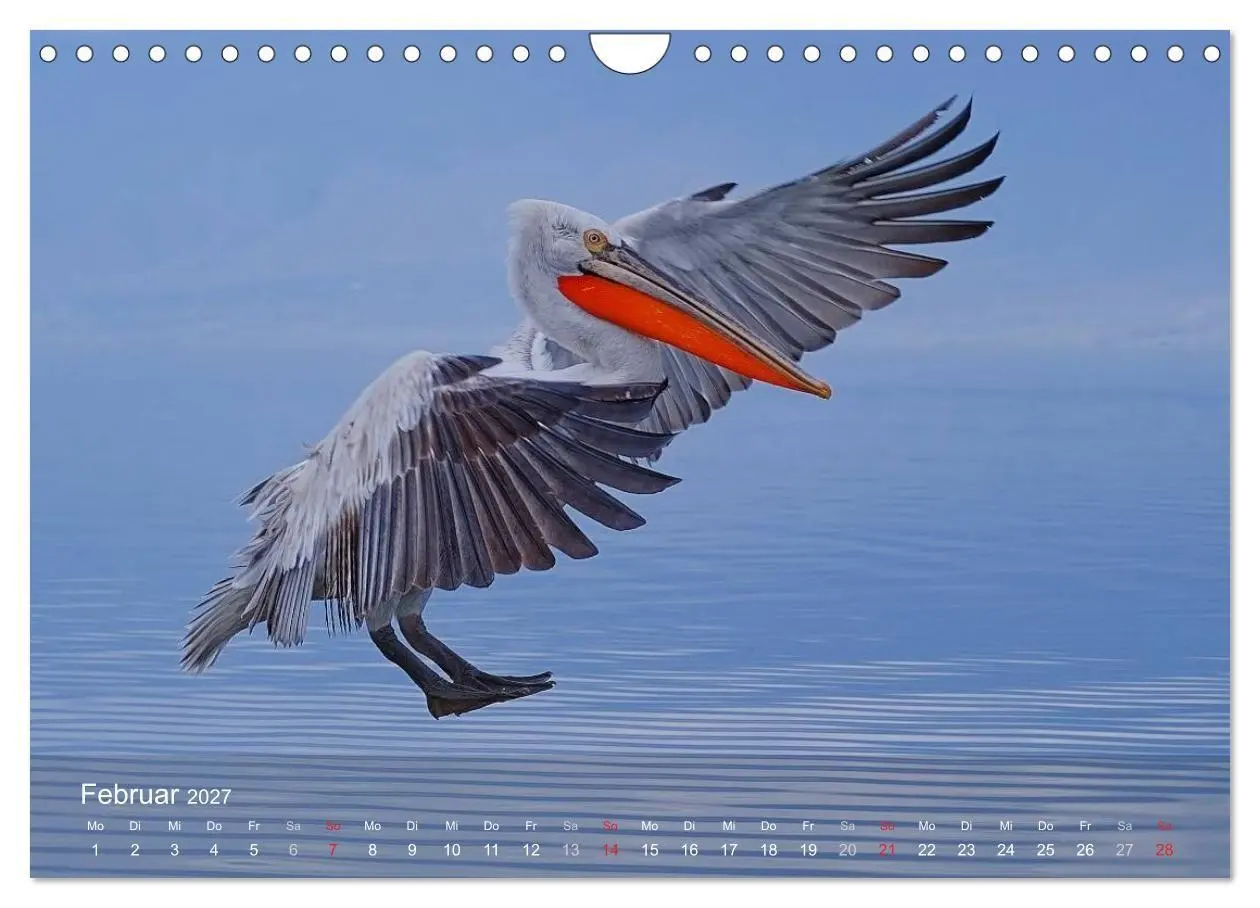 Bild: 9783594118467 | Pelikan-Kalender (Wandkalender 2027 DIN A4 quer), CALVENDO...