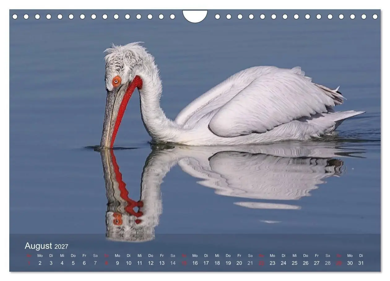 Bild: 9783594118467 | Pelikan-Kalender (Wandkalender 2027 DIN A4 quer), CALVENDO...