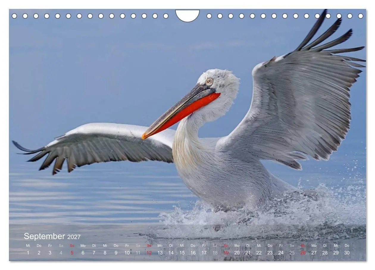 Bild: 9783594118467 | Pelikan-Kalender (Wandkalender 2027 DIN A4 quer), CALVENDO...