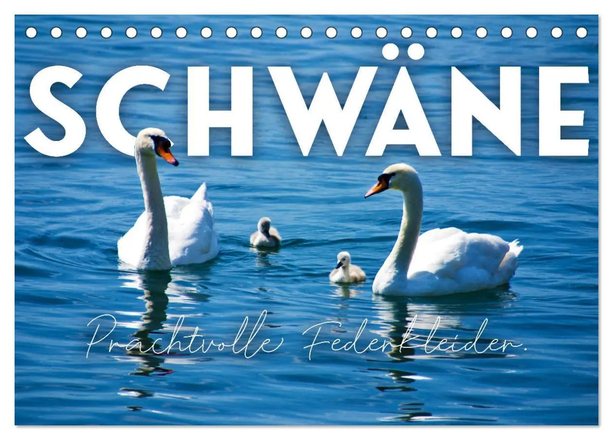 Cover: 9783457418567 | Schwäne - Prachtvolle Federkleider. (Tischkalender 2026 DIN A5...