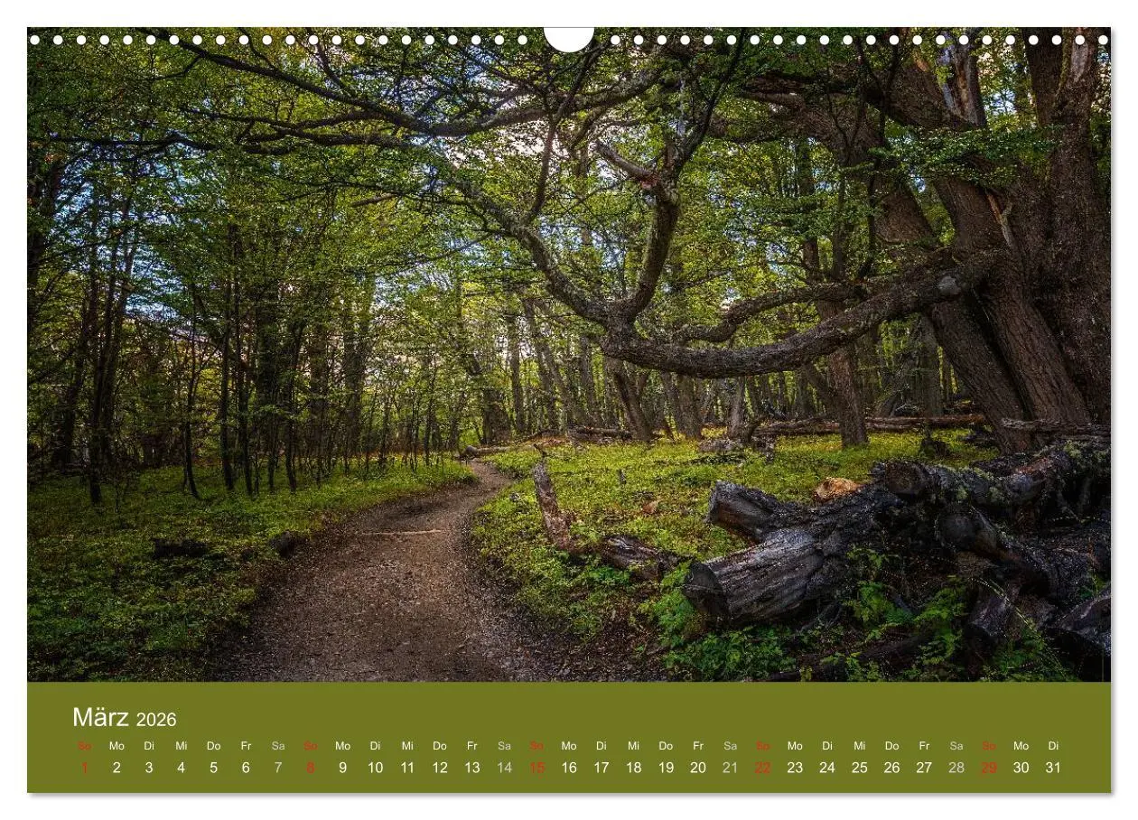 Bild: 9783516058567 | Farbenfrohes Patagonien (Wandkalender 2026 DIN A3 quer), CALVENDO...