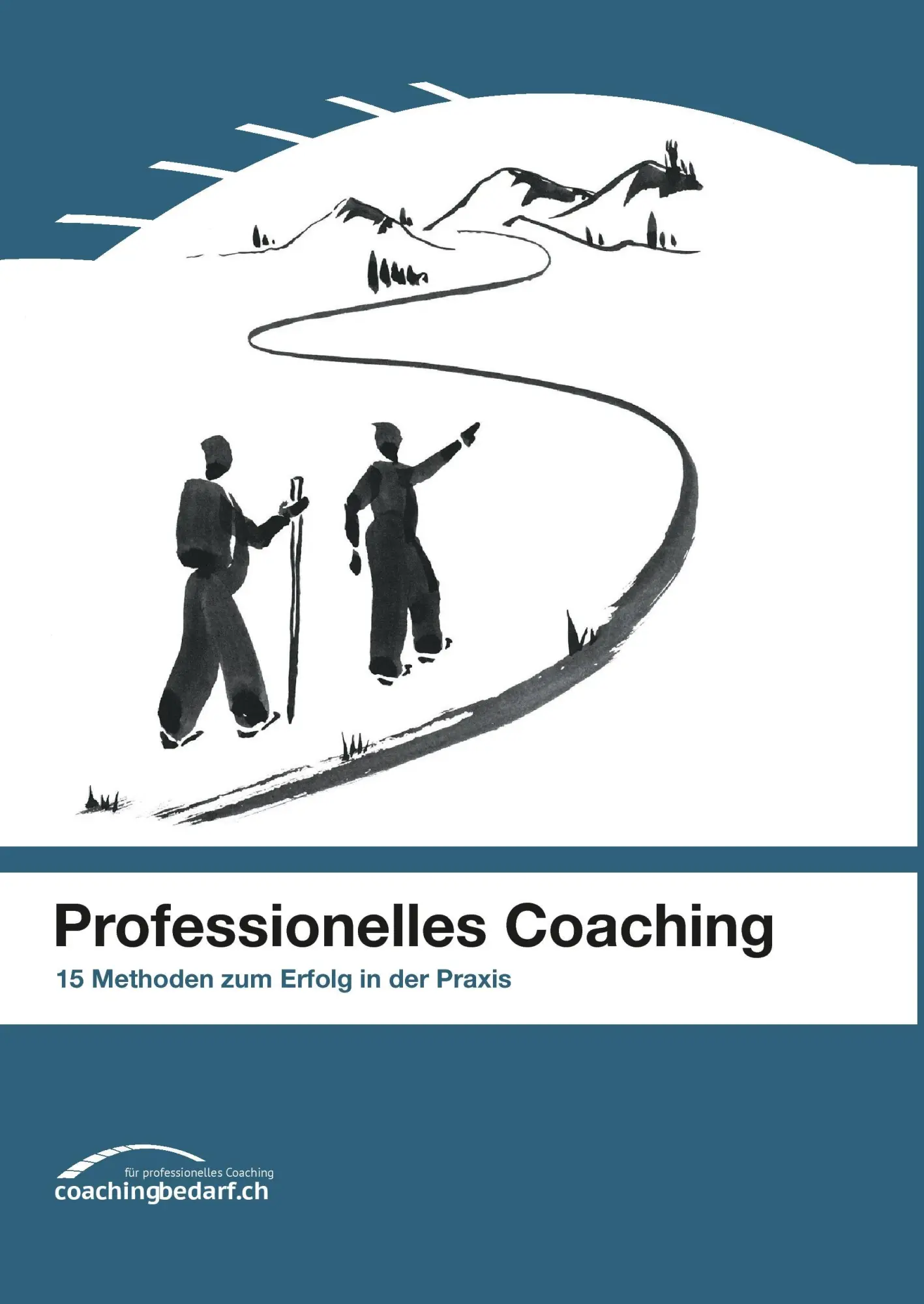 Cover: 9783741238567 | Professionelles Coaching | 15 Methoden zum Erfolg in der Praxis | Buch