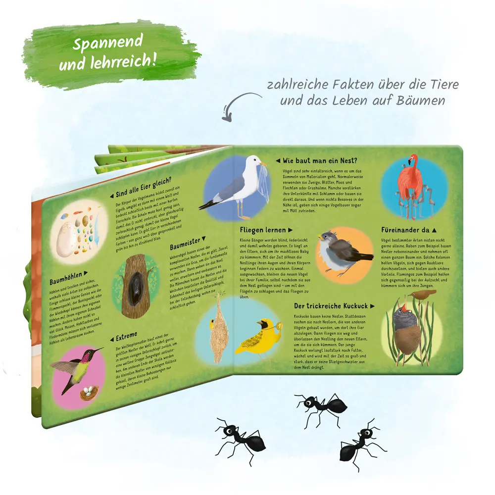 Bild: 9783965528567 | Trötsch Fensterbuch Im Nest | Trötsch Verlag | Buch | Erstes Wissen