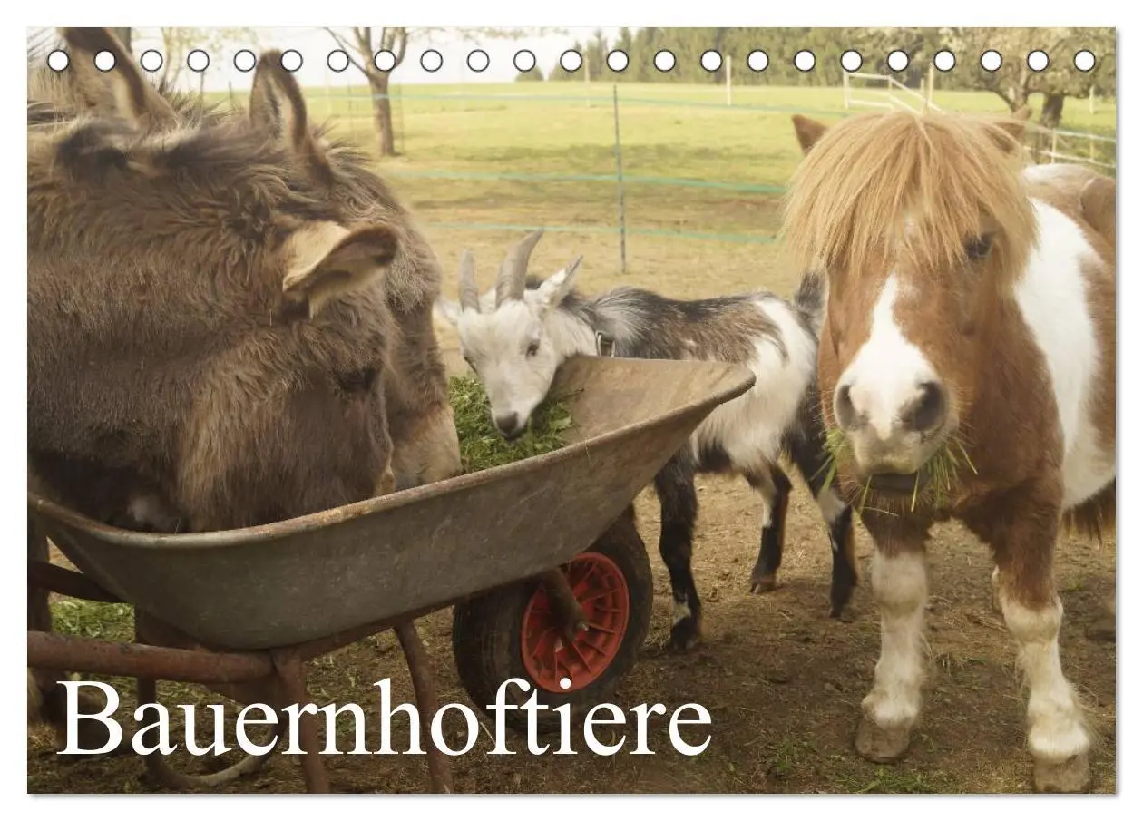 Cover: 9783516118667 | Bauernhoftiere (Tischkalender 2026 DIN A5 quer), CALVENDO...