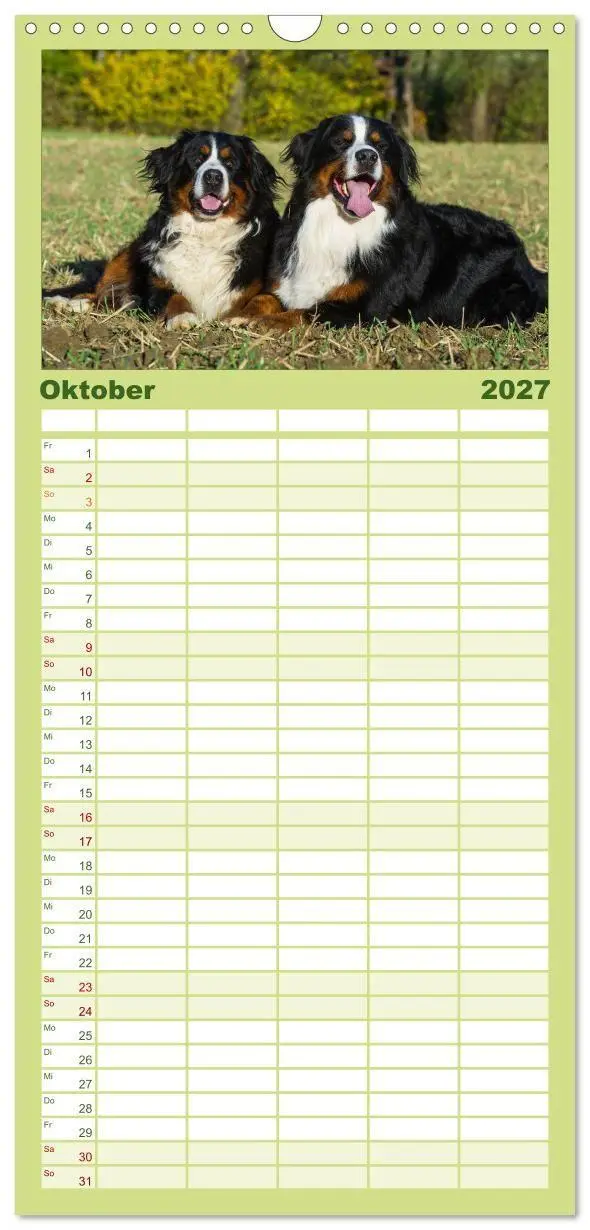 Bild: 9783594338667 | Familienplaner 2027 - Treuer Freund Berner Sennenhund mit 5 Spalten...