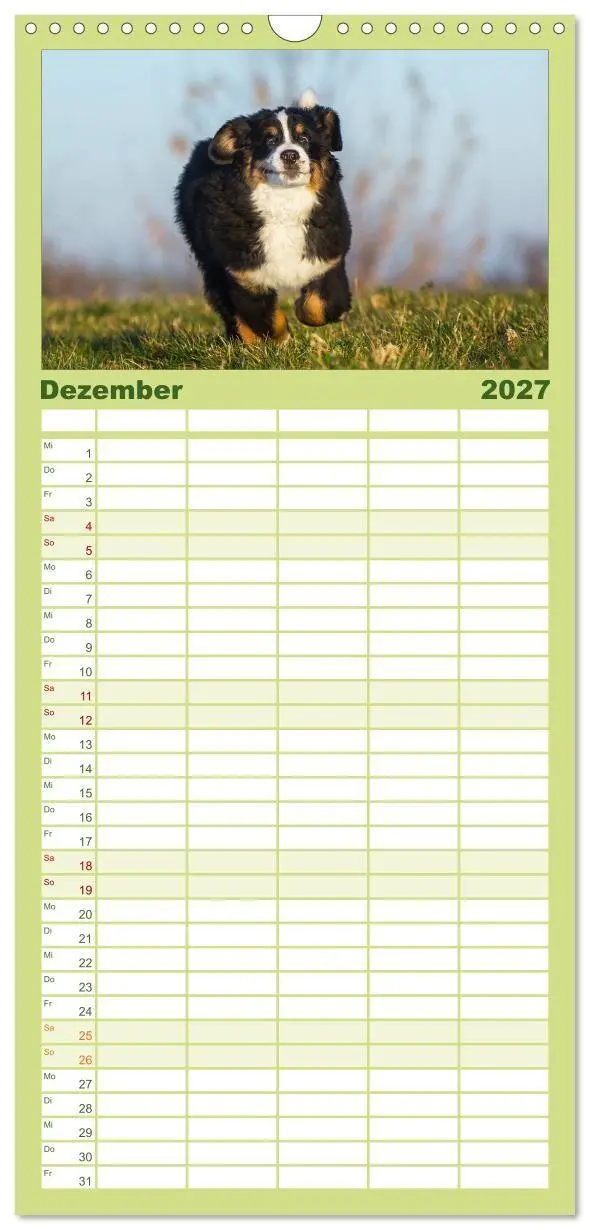 Bild: 9783594338667 | Familienplaner 2027 - Treuer Freund Berner Sennenhund mit 5 Spalten...