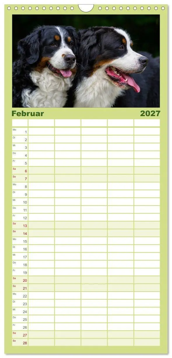 Bild: 9783594338667 | Familienplaner 2027 - Treuer Freund Berner Sennenhund mit 5 Spalten...