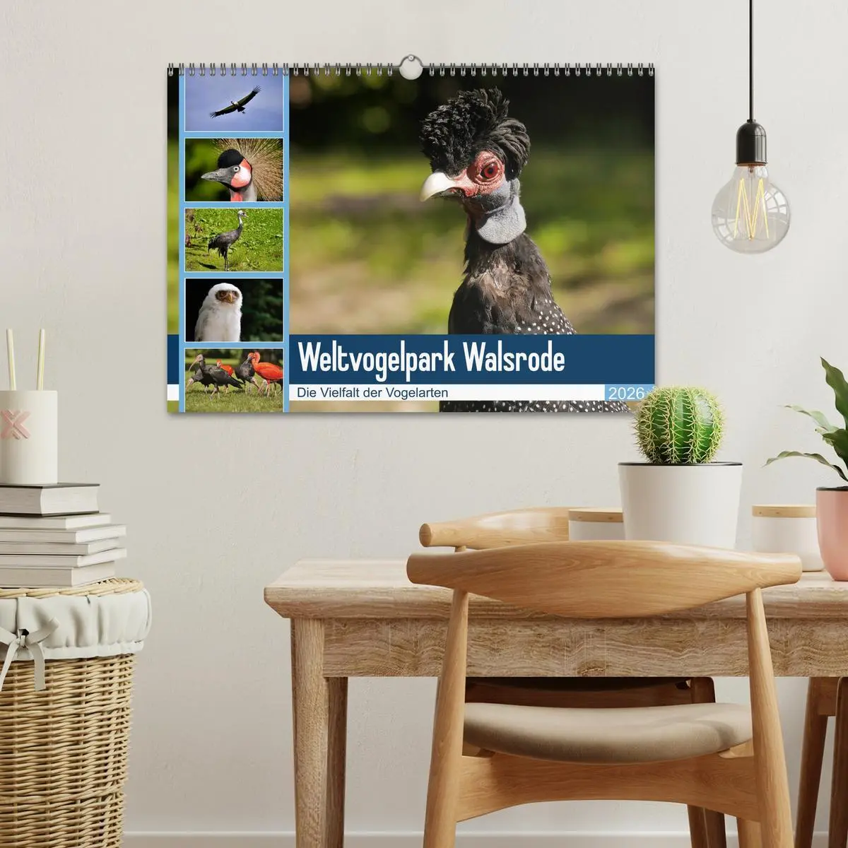 Bild: 9783457938867 | Weltvogelpark Walsrode - Die Vielfalt der Vogelarten (Wandkalender...