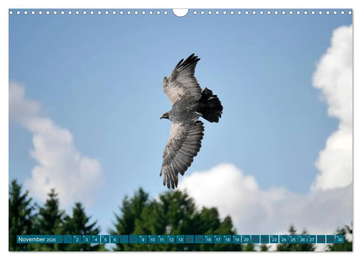 Bild: 9783457938867 | Weltvogelpark Walsrode - Die Vielfalt der Vogelarten (Wandkalender...