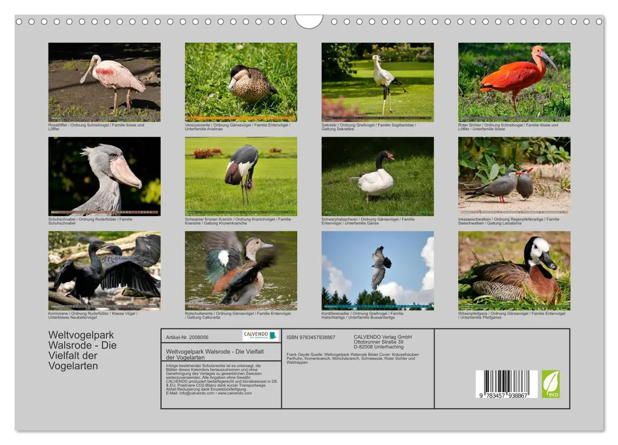 Bild: 9783457938867 | Weltvogelpark Walsrode - Die Vielfalt der Vogelarten (Wandkalender...