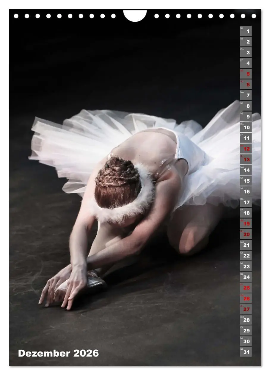 Bild: 9783516338867 | Sinneseindruck Ballett (Wandkalender 2026 DIN A4 hoch), CALVENDO...