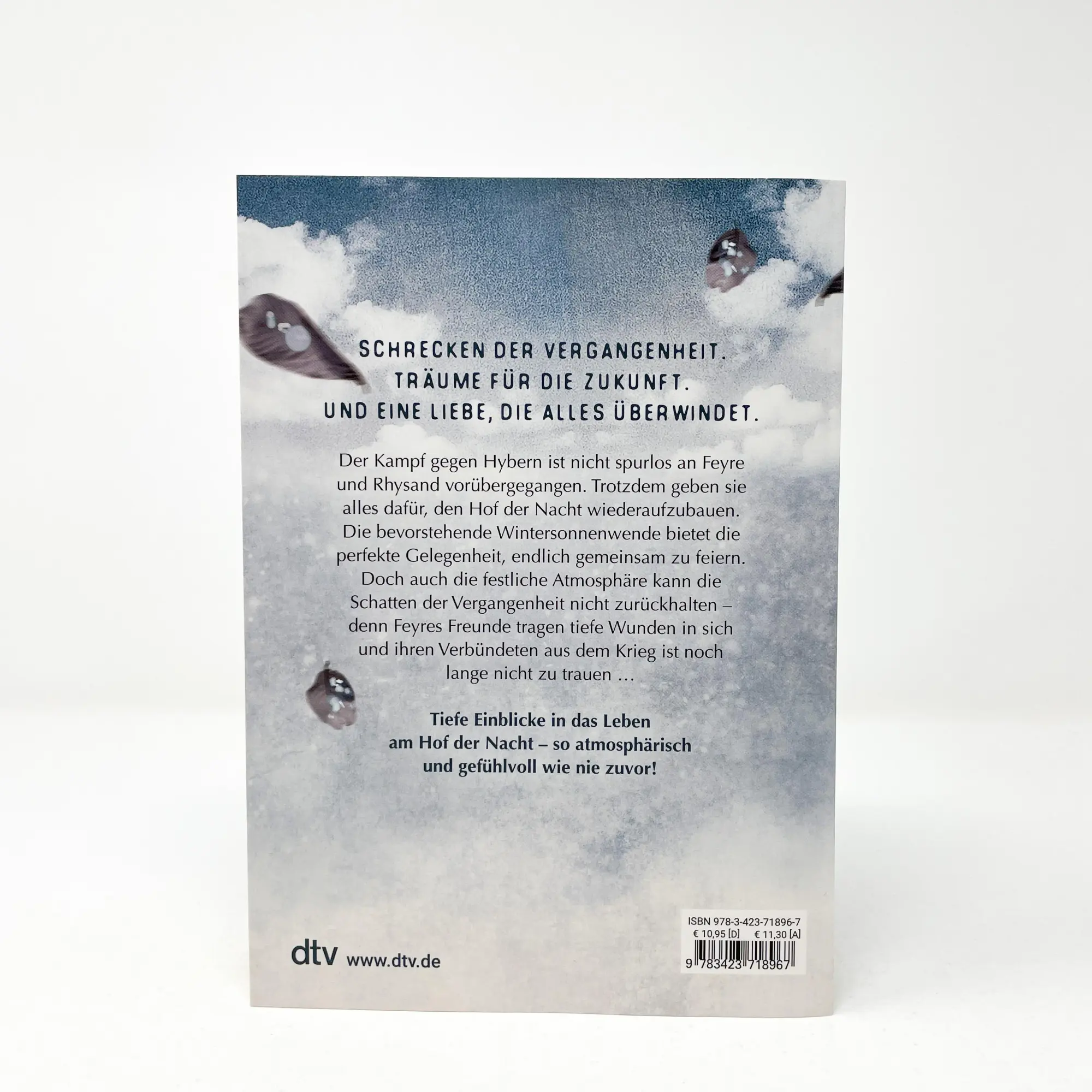 Bild: 9783423718967 | Das Reich der sieben Höfe - Frost und Mondlicht | Sarah J. Maas | Buch