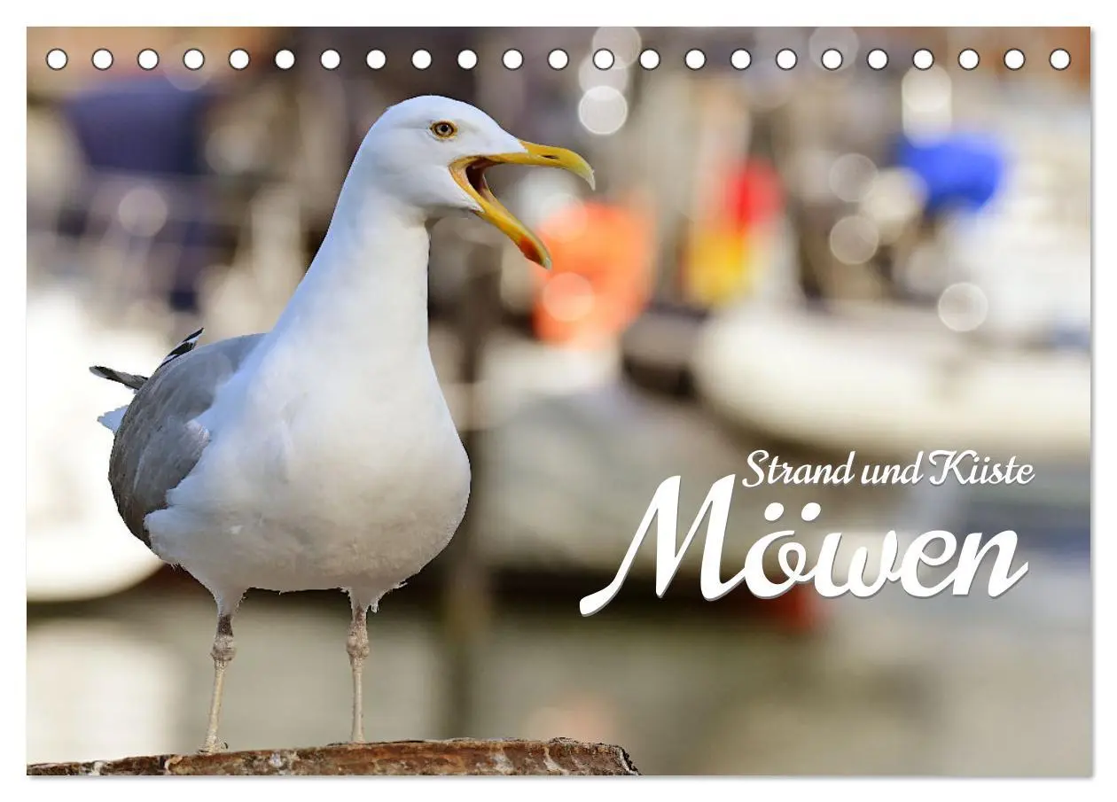 Cover: 9783457548967 | Strand und Küste - Möwen (Tischkalender 2026 DIN A5 quer), CALVENDO...
