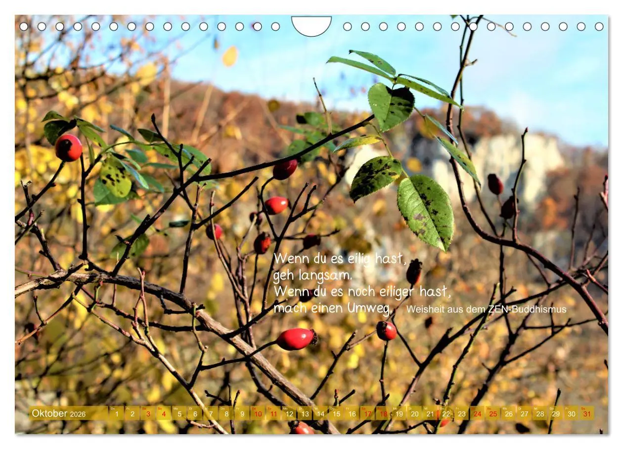 Bild: 9783457618967 | Beuroner Jakobsweg (Wandkalender 2026 DIN A4 quer), CALVENDO...