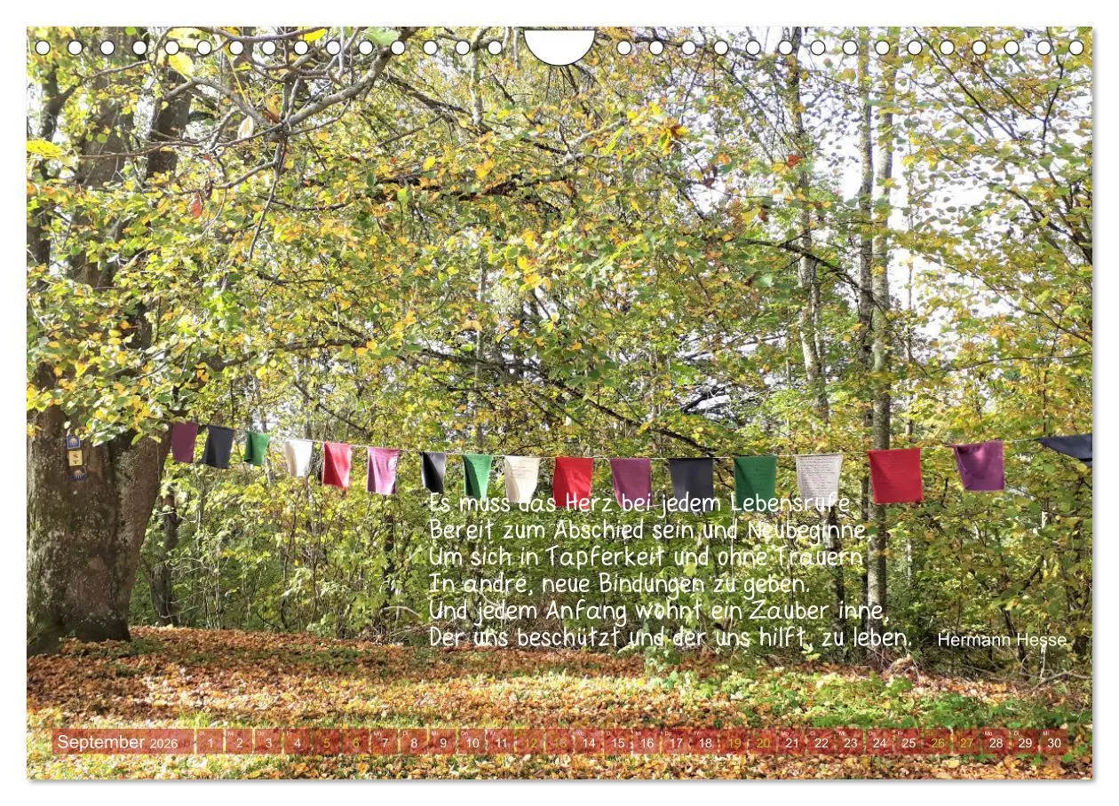Bild: 9783457618967 | Beuroner Jakobsweg (Wandkalender 2026 DIN A4 quer), CALVENDO...