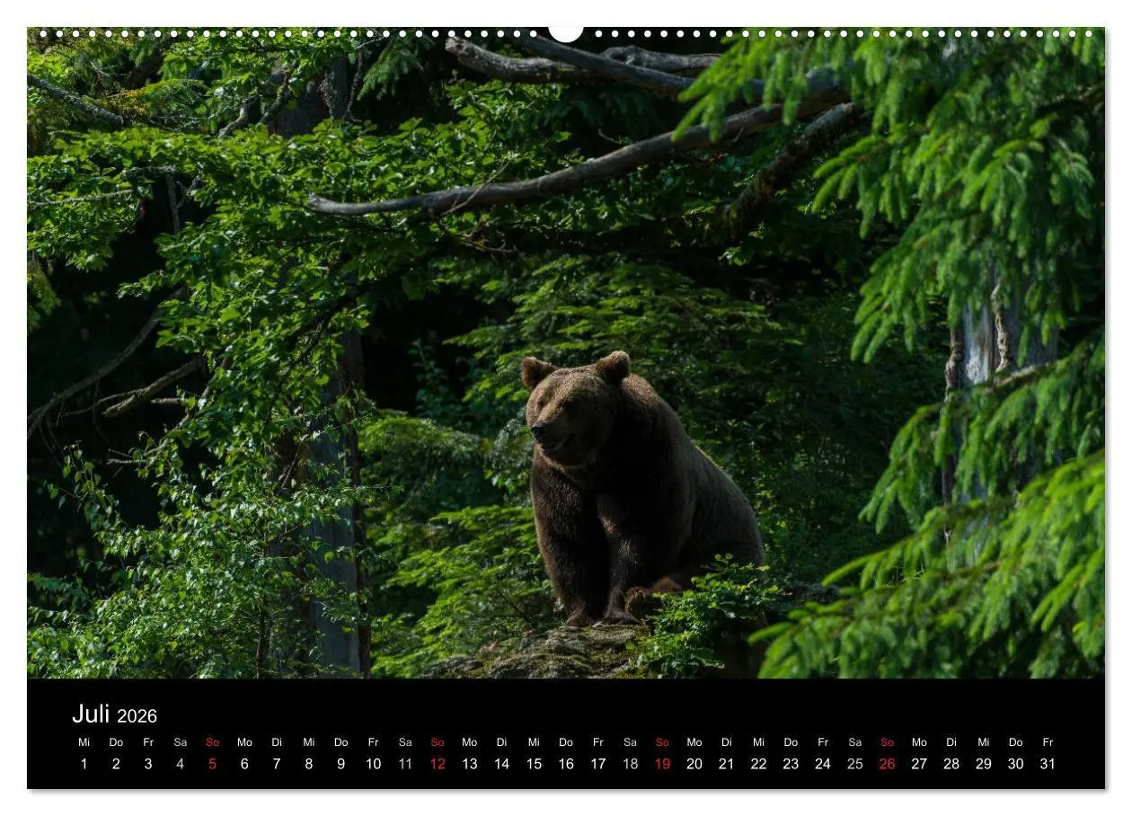 Bild: 9783516149067 | Bayerischer Wald (hochwertiger Premium Wandkalender 2026 DIN A2...