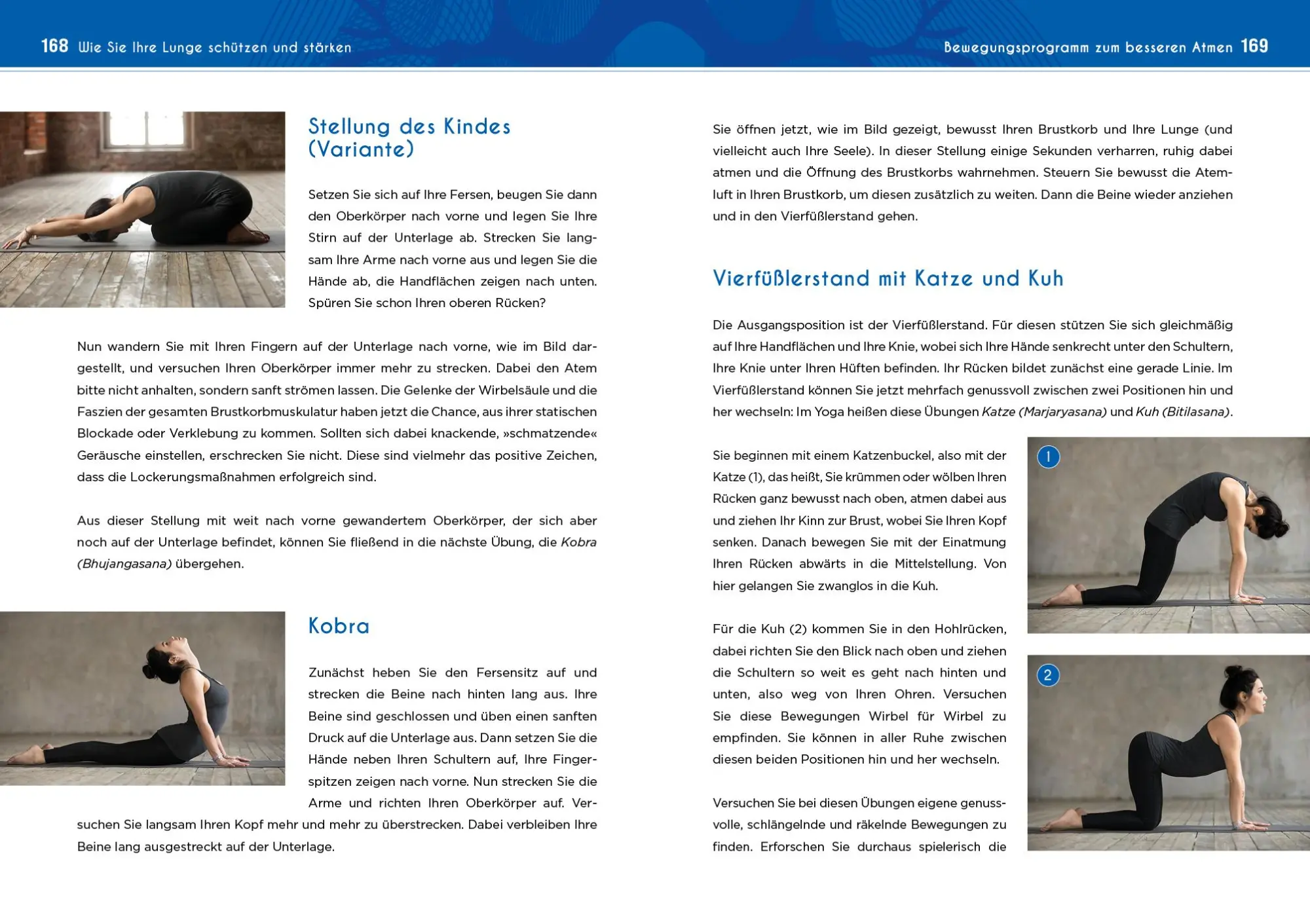 Bild: 9783742319067 | Neustart für die Lunge | Martin Ehlers | Taschenbuch | Neustart | 2021