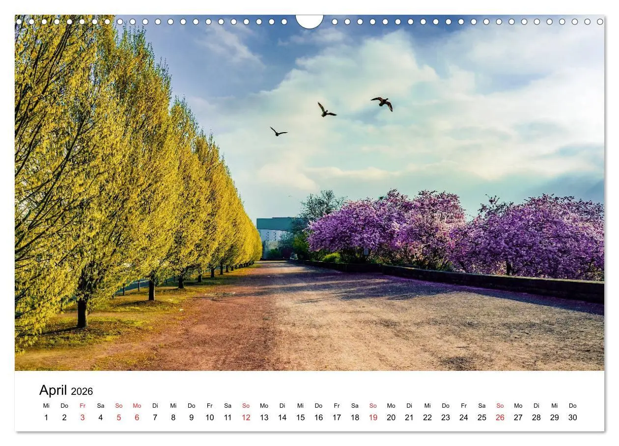 Bild: 9783457739167 | Kassel - Morgenlicht (Wandkalender 2026 DIN A3 quer), CALVENDO...
