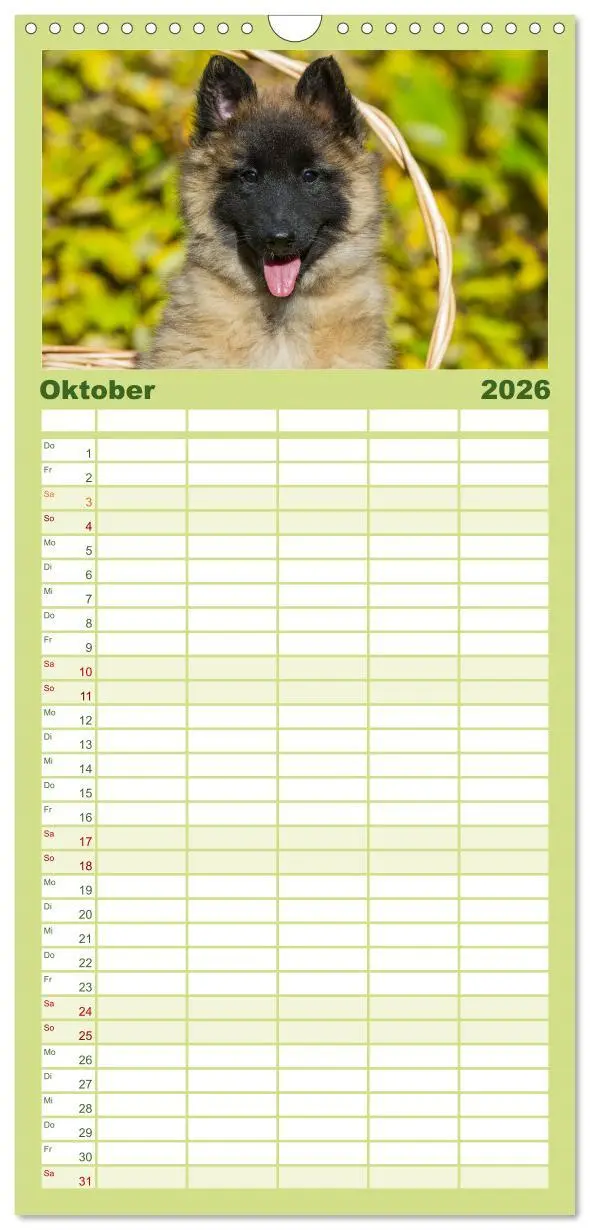 Bild: 9783516519167 | Familienplaner 2026 - Welpen 2026 mit 5 Spalten (Wandkalender, 21 x...