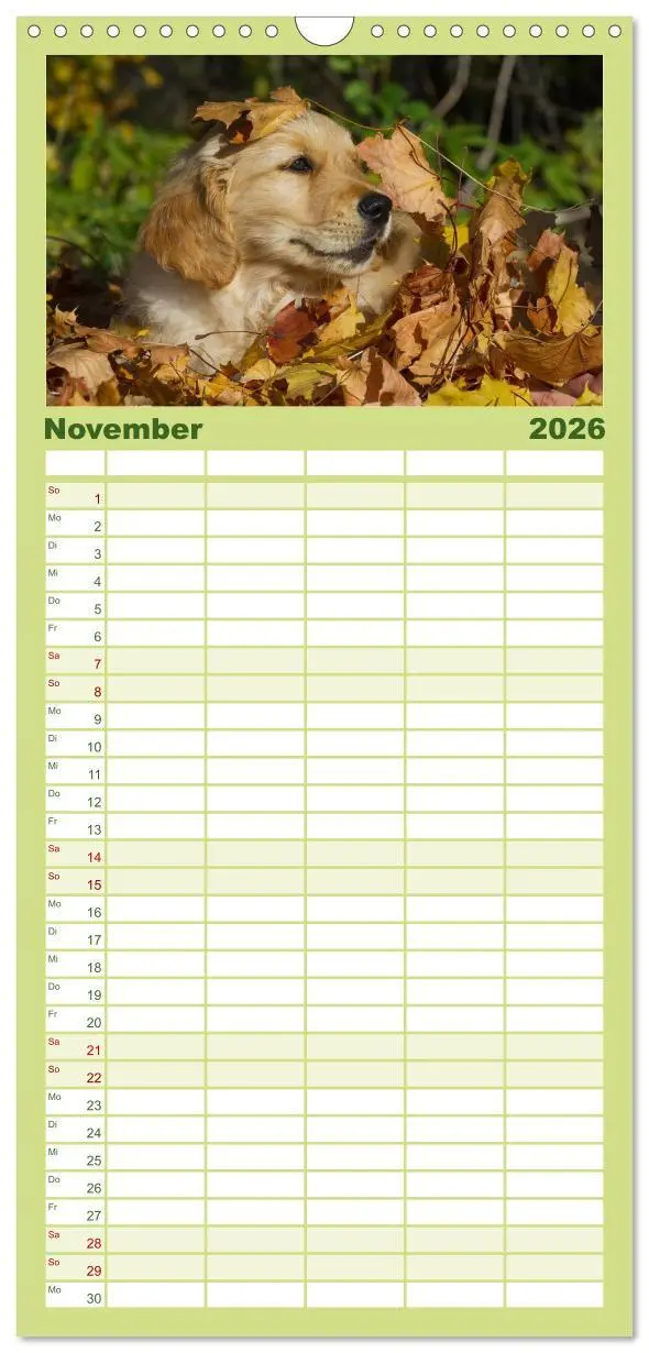 Bild: 9783516519167 | Familienplaner 2026 - Welpen 2026 mit 5 Spalten (Wandkalender, 21 x...