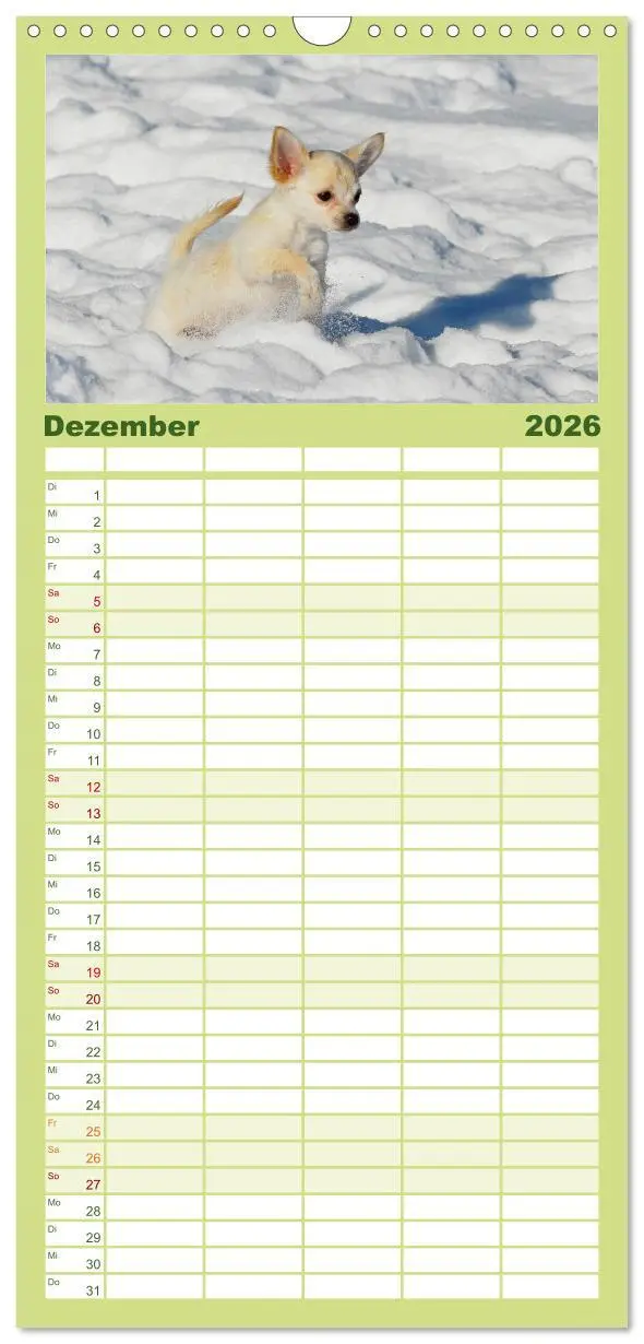 Bild: 9783516519167 | Familienplaner 2026 - Welpen 2026 mit 5 Spalten (Wandkalender, 21 x...