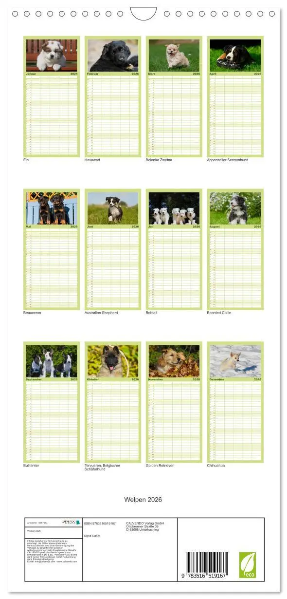 Bild: 9783516519167 | Familienplaner 2026 - Welpen 2026 mit 5 Spalten (Wandkalender, 21 x...