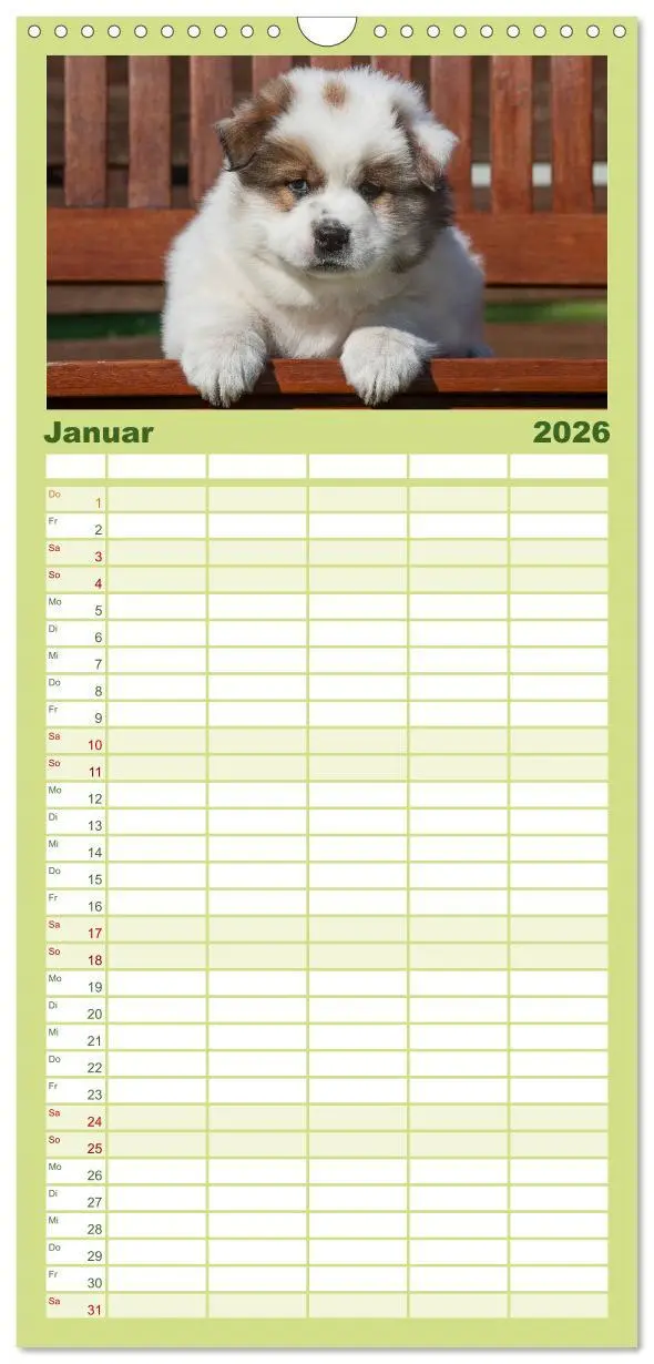 Bild: 9783516519167 | Familienplaner 2026 - Welpen 2026 mit 5 Spalten (Wandkalender, 21 x...