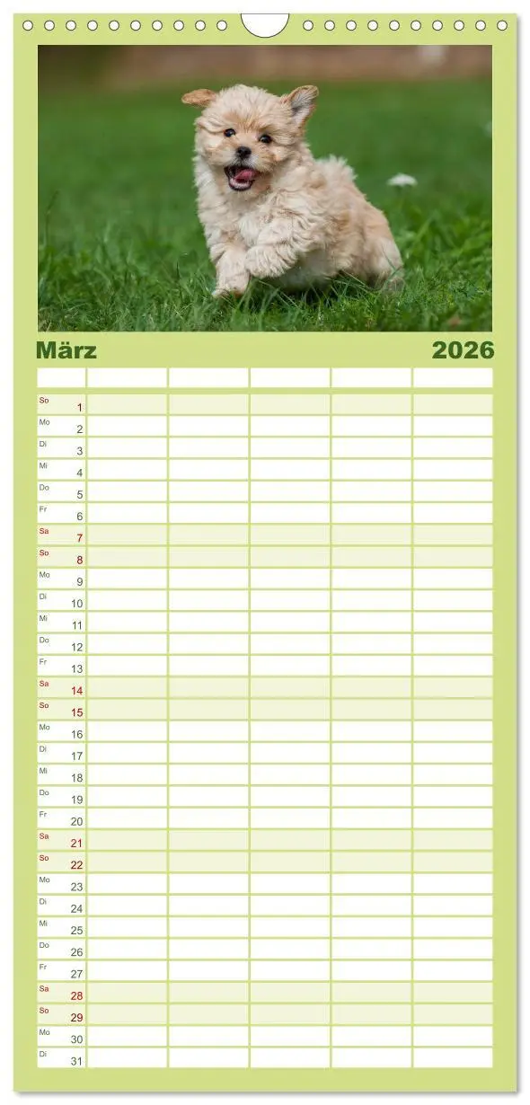 Bild: 9783516519167 | Familienplaner 2026 - Welpen 2026 mit 5 Spalten (Wandkalender, 21 x...
