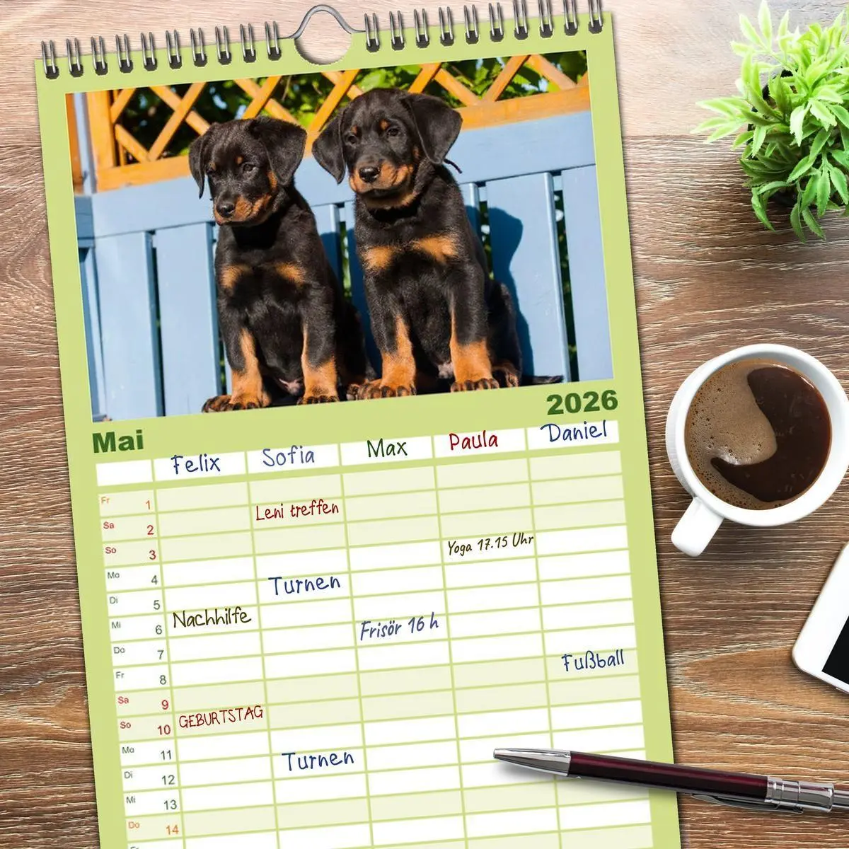 Bild: 9783516519167 | Familienplaner 2026 - Welpen 2026 mit 5 Spalten (Wandkalender, 21 x...