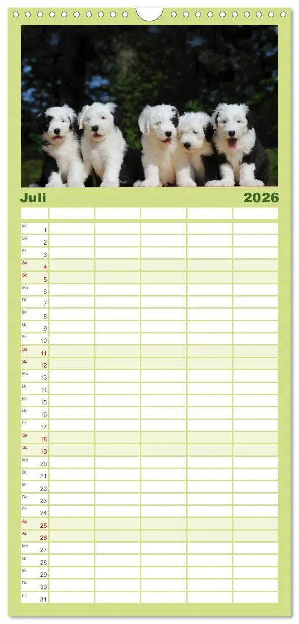 Bild: 9783516519167 | Familienplaner 2026 - Welpen 2026 mit 5 Spalten (Wandkalender, 21 x...