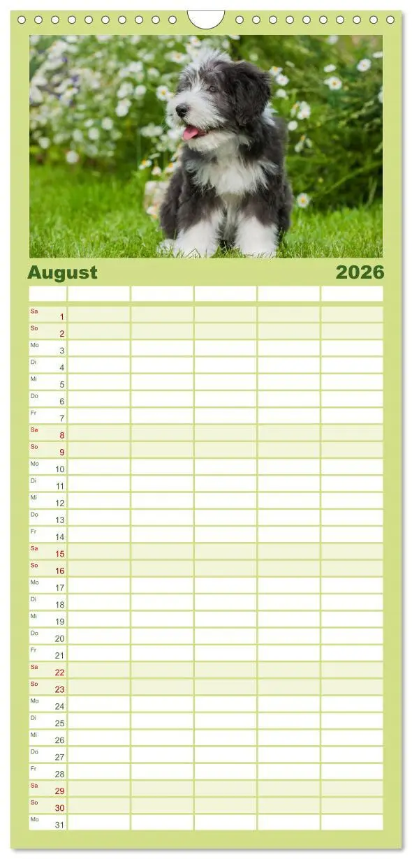 Bild: 9783516519167 | Familienplaner 2026 - Welpen 2026 mit 5 Spalten (Wandkalender, 21 x...