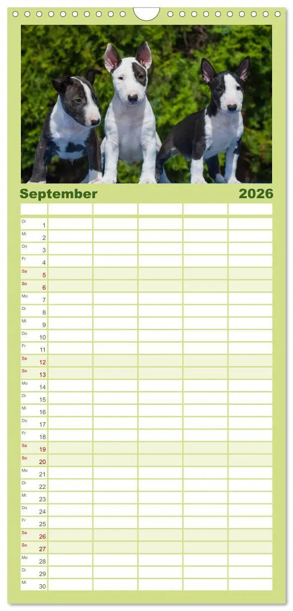 Bild: 9783516519167 | Familienplaner 2026 - Welpen 2026 mit 5 Spalten (Wandkalender, 21 x...