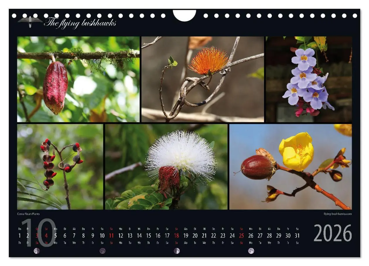 Bild: 9783457279267 | Costa Rica Blickwinkel 2026 (Wandkalender 2026 DIN A4 quer),...
