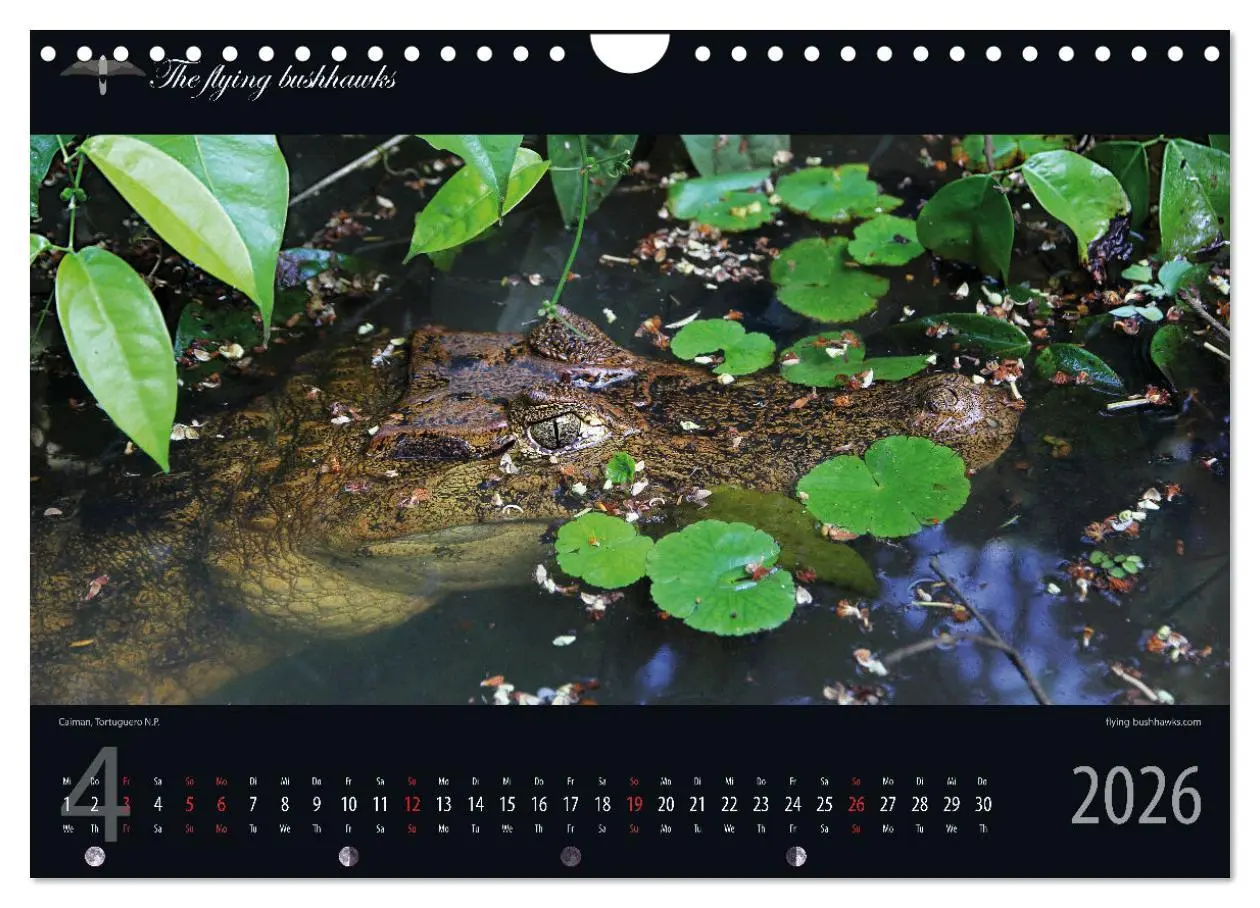 Bild: 9783457279267 | Costa Rica Blickwinkel 2026 (Wandkalender 2026 DIN A4 quer),...