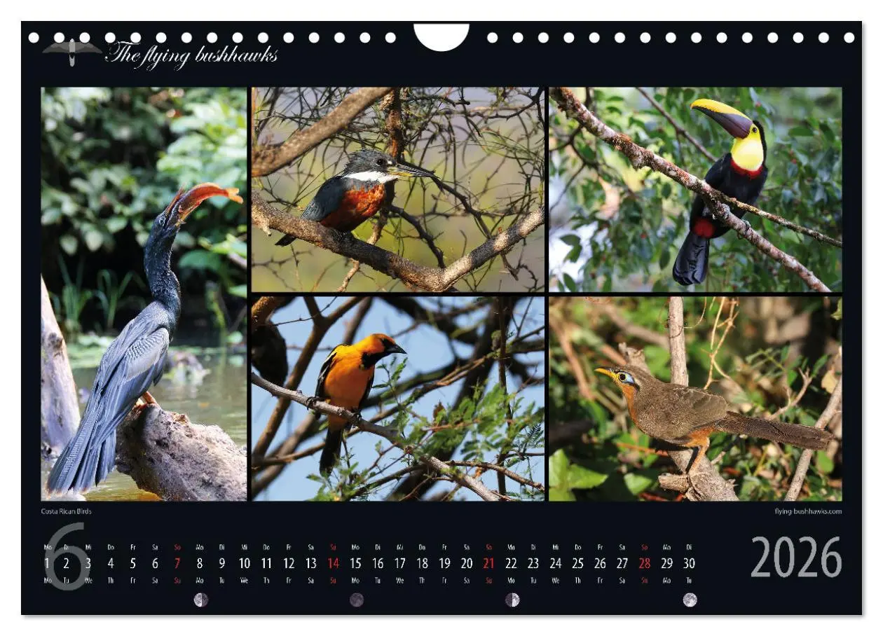 Bild: 9783457279267 | Costa Rica Blickwinkel 2026 (Wandkalender 2026 DIN A4 quer),...
