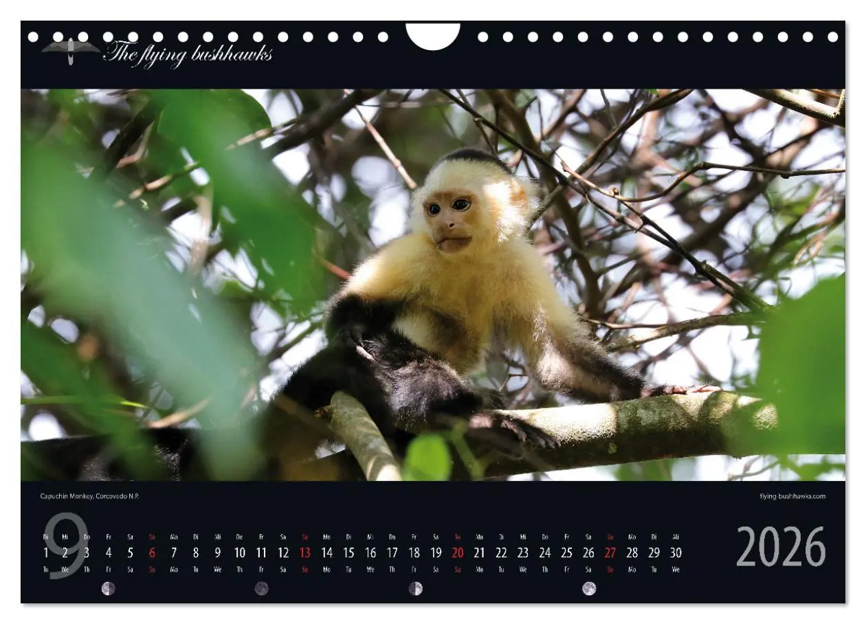 Bild: 9783457279267 | Costa Rica Blickwinkel 2026 (Wandkalender 2026 DIN A4 quer),...