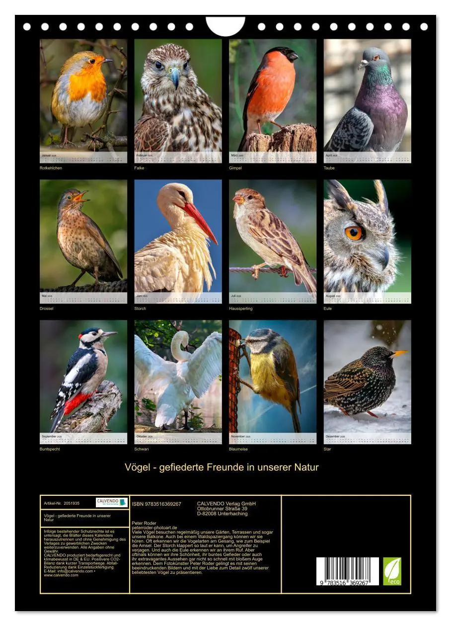 Bild: 9783516369267 | Vögel - gefiederte Freunde in unserer Natur (Wandkalender 2026 DIN...
