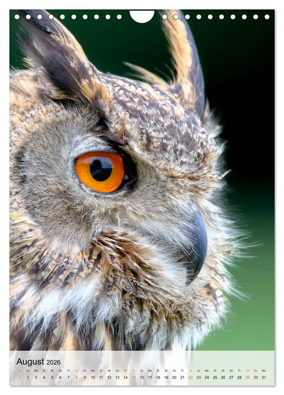 Bild: 9783516369267 | Vögel - gefiederte Freunde in unserer Natur (Wandkalender 2026 DIN...