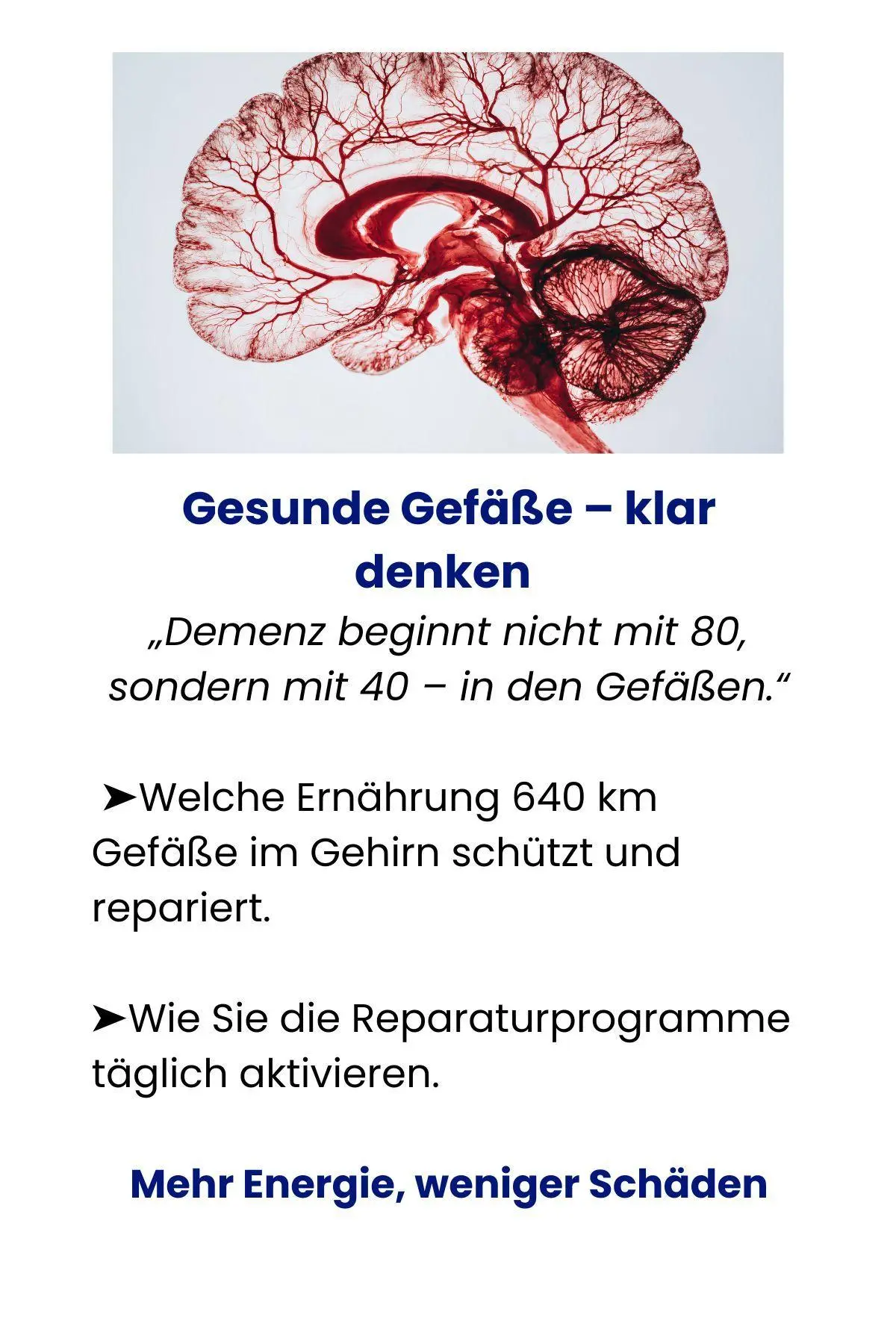 Bild: 9783948319267 | Masterplan gegen Alzheimer. Fit im Kopf - ein Leben lang. Wie Sie...