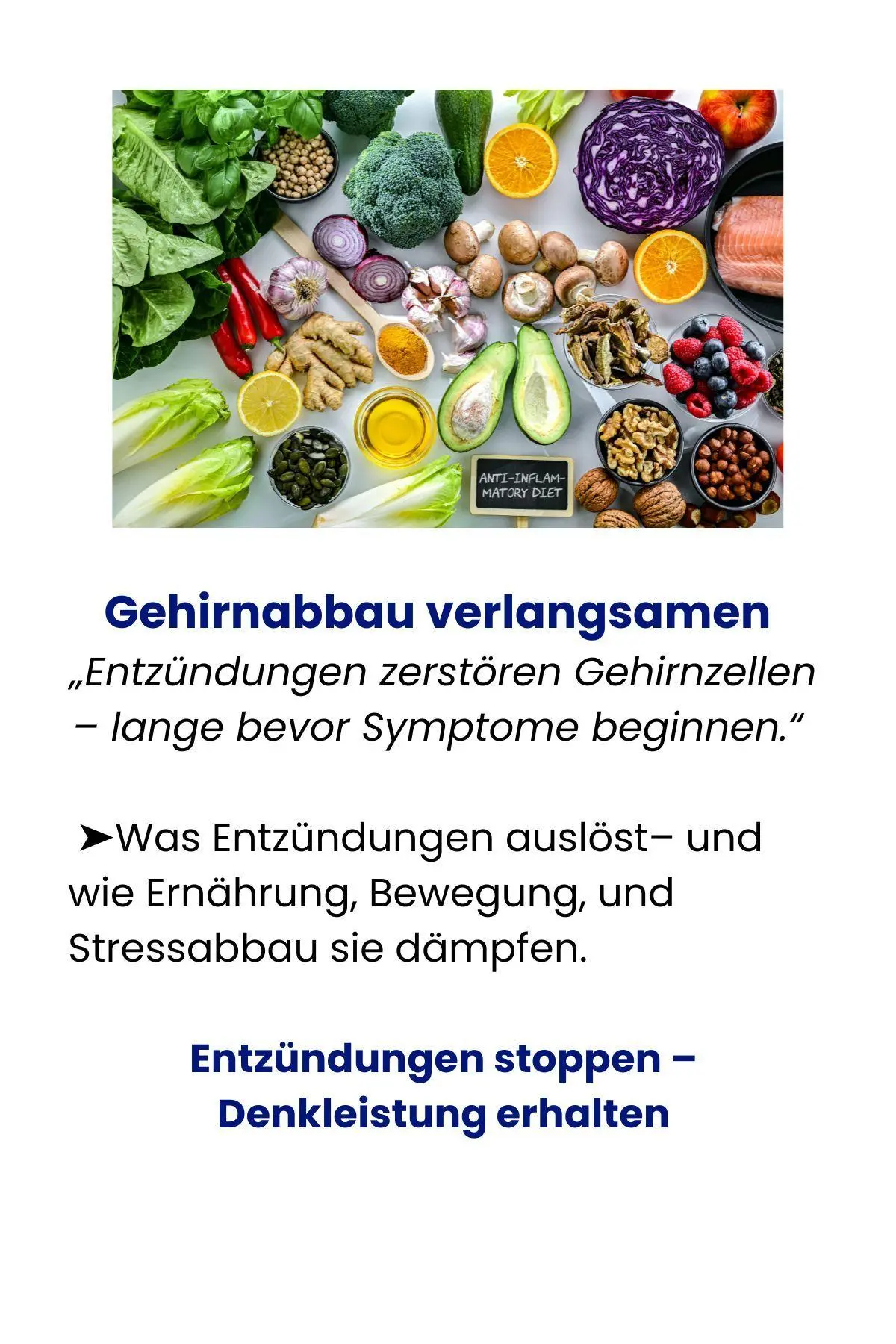 Bild: 9783948319267 | Masterplan gegen Alzheimer. Fit im Kopf - ein Leben lang. Wie Sie...