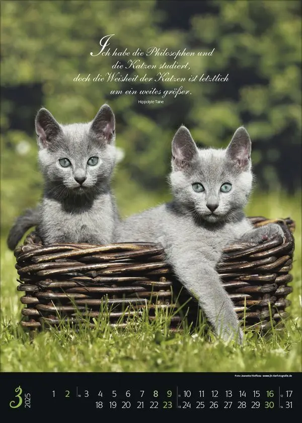 Bild: 9783731879367 | Katzenpoesie 2025 | Korsch Verlag | Kalender | Spiralbindung | 13 S.
