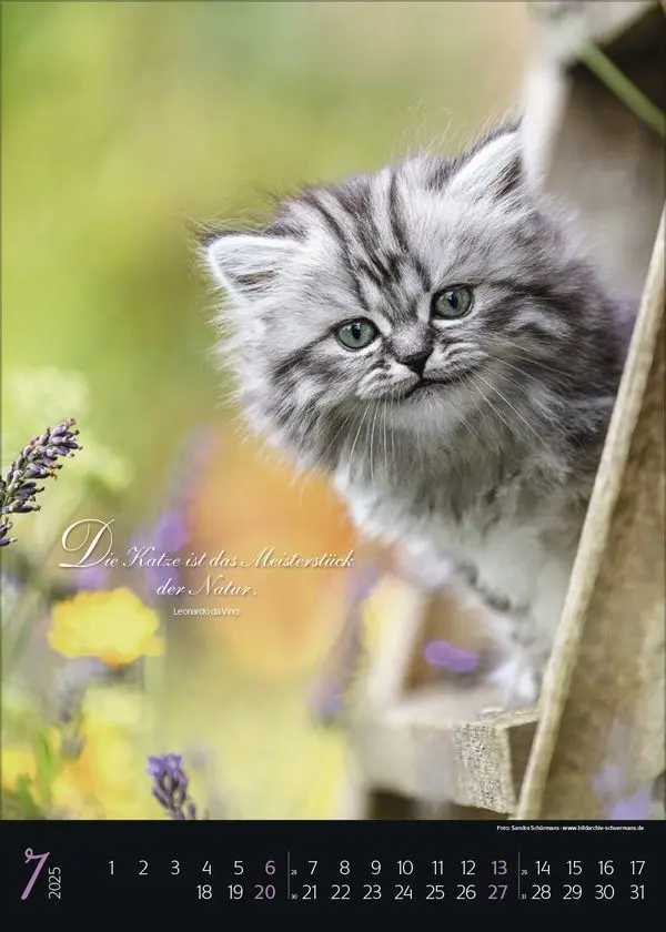Bild: 9783731879367 | Katzenpoesie 2025 | Korsch Verlag | Kalender | Spiralbindung | 13 S.