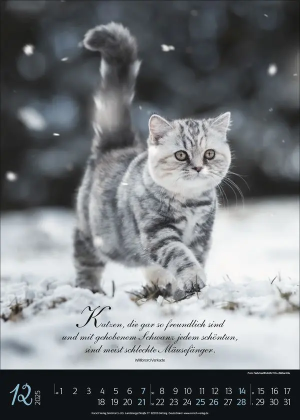 Bild: 9783731879367 | Katzenpoesie 2025 | Korsch Verlag | Kalender | Spiralbindung | 13 S.