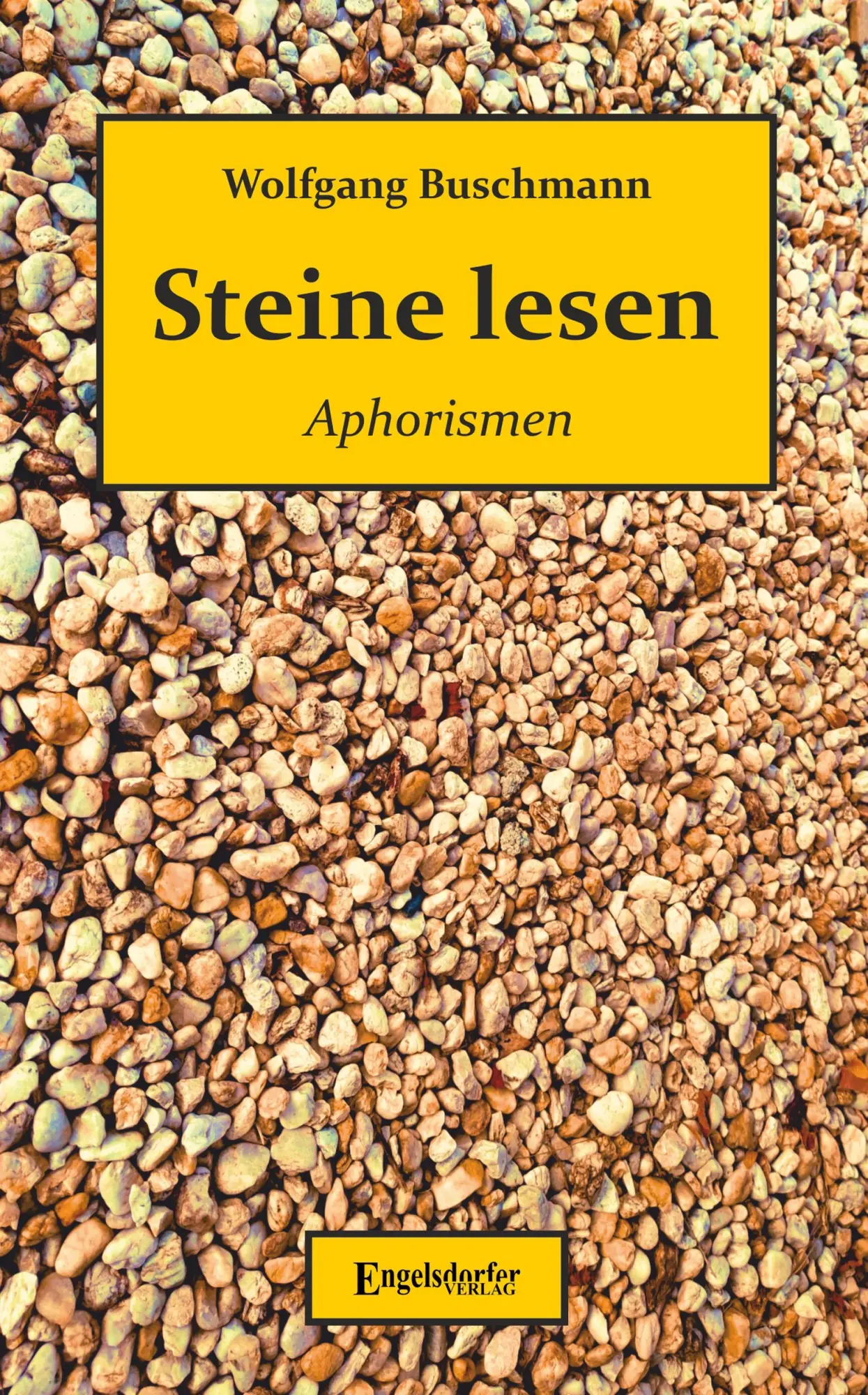Cover: 9783969409367 | Steine lesen | Aphorismen | Wolfgang Buschmann | Taschenbuch | 219 S.