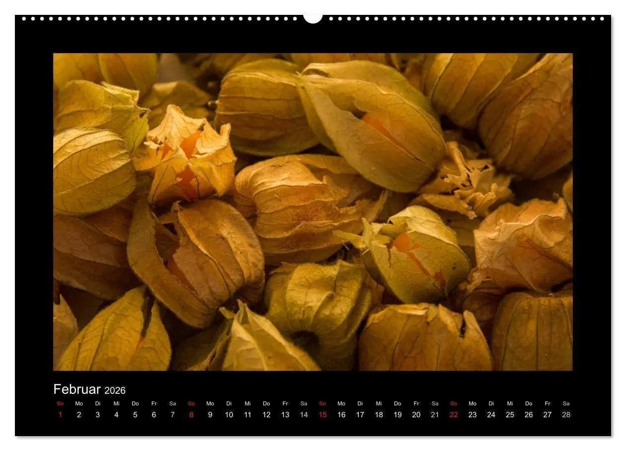 Bild: 9783516109467 | essbar - Buntes Obst und Gemüse (hochwertiger Premium Wandkalender...